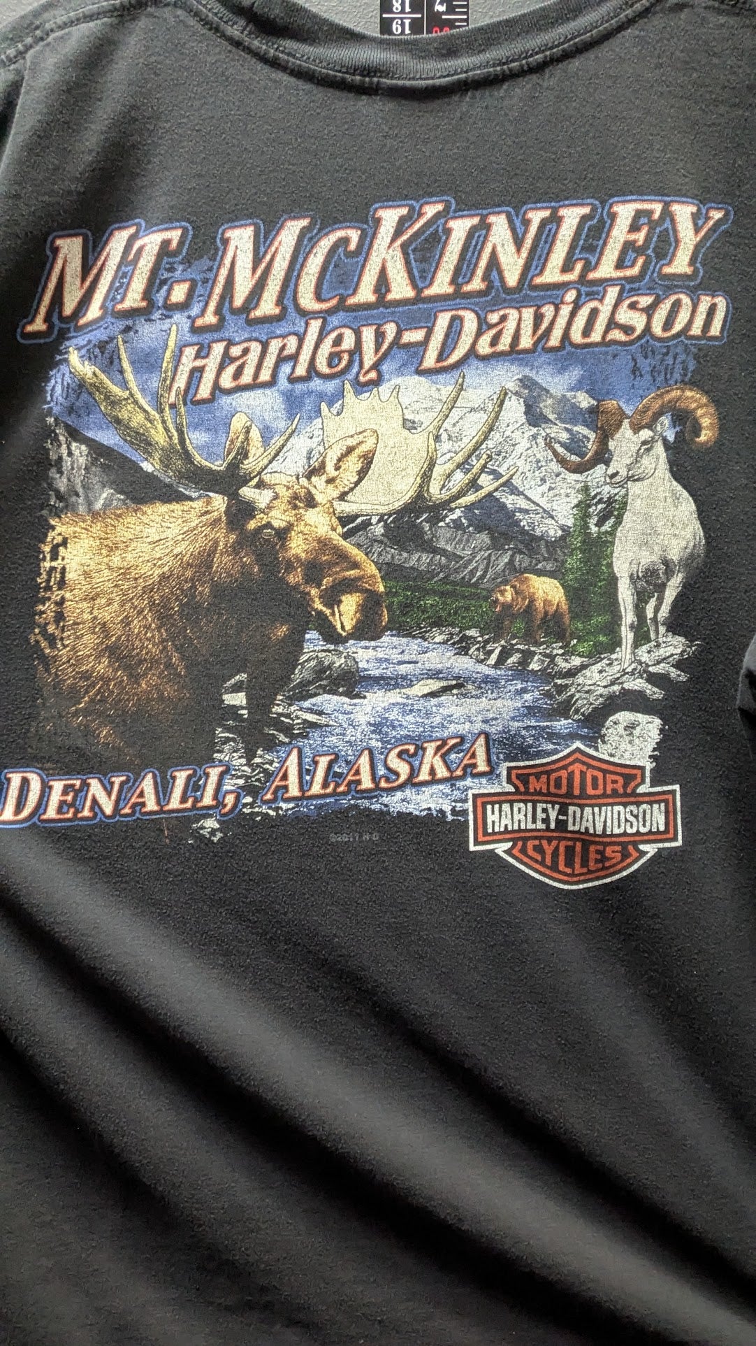 Harley-Davidson Mt. McKinley Dealer T-Shirt – Denali, Alaska – Destination Unknown – Black – Size Large