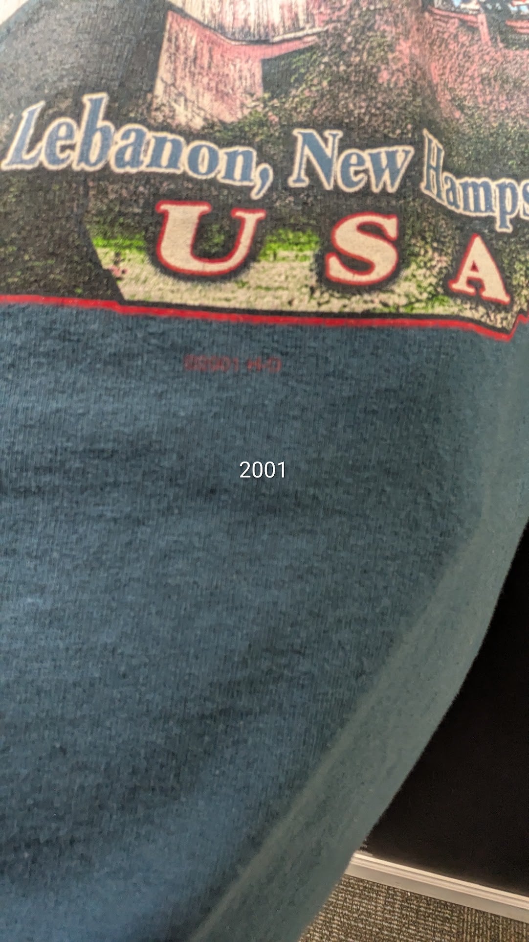 2001 Harley-Davidson Twin States Lebanon New Hampshire T-Shirt – Blue – Size Large