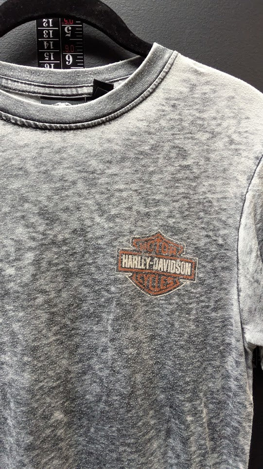 Harley-Davidson Gray Mineral Wash Eagle Graphic T-Shirt Men's Small