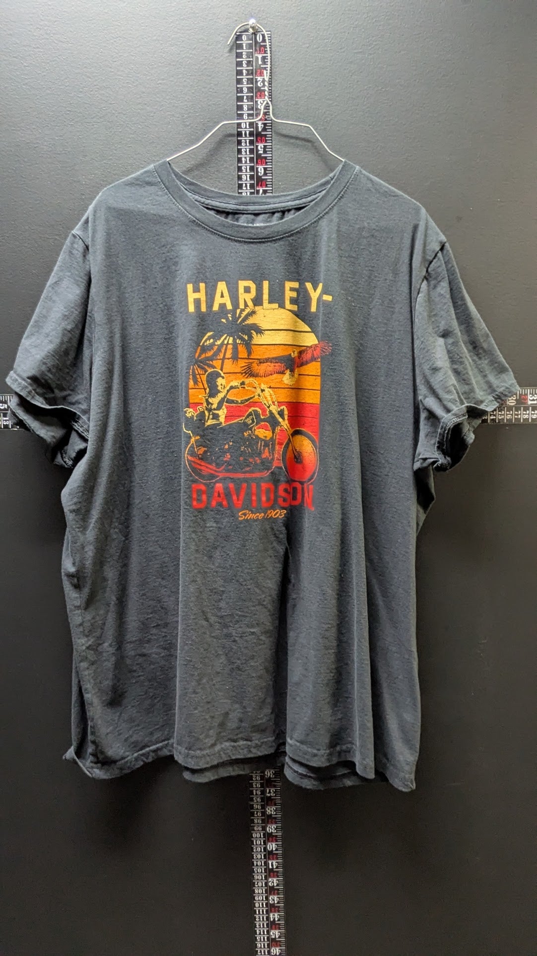 Harley-Davidson Sunset Rider T-Shirt – Buckeye Harley-Davidson Dayton, Ohio – Women's 3W