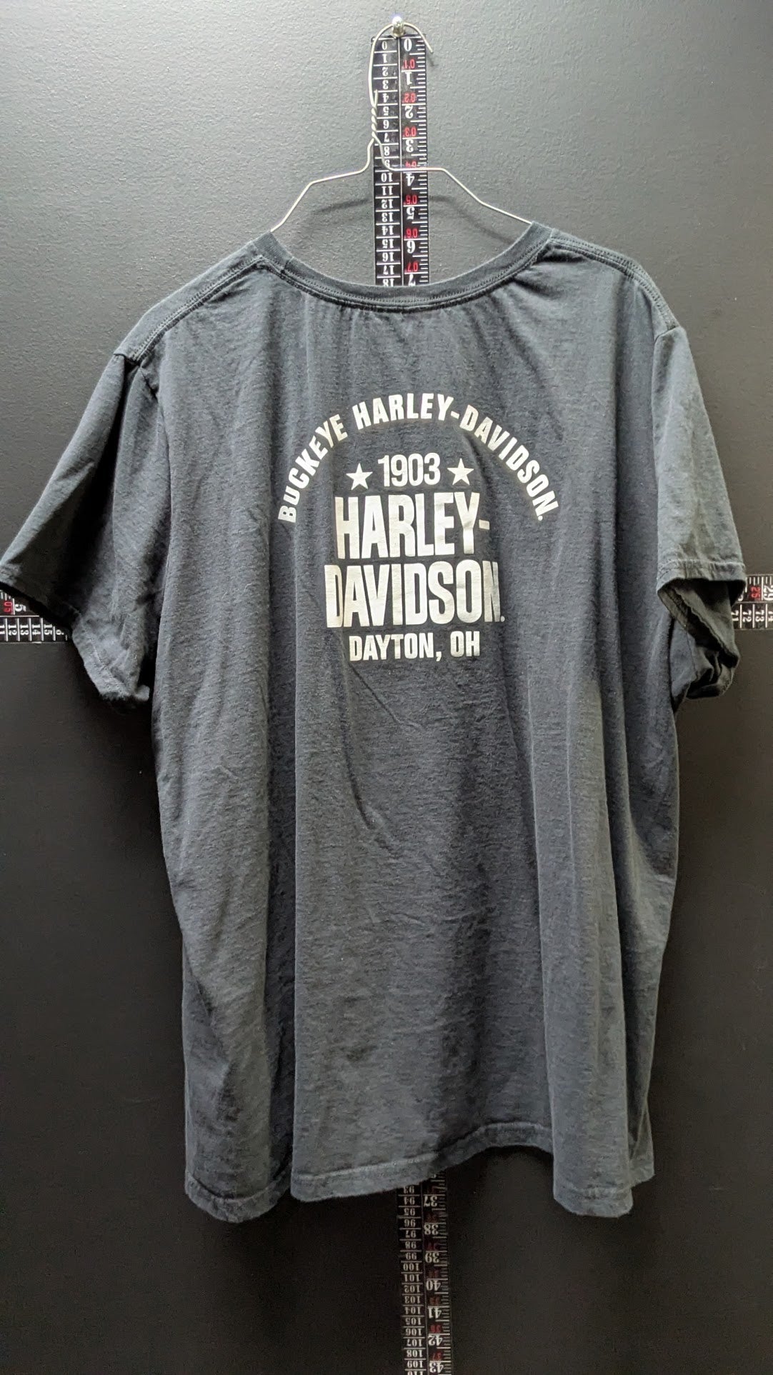 Harley-Davidson Sunset Rider T-Shirt – Buckeye Harley-Davidson Dayton, Ohio – Women's 3W