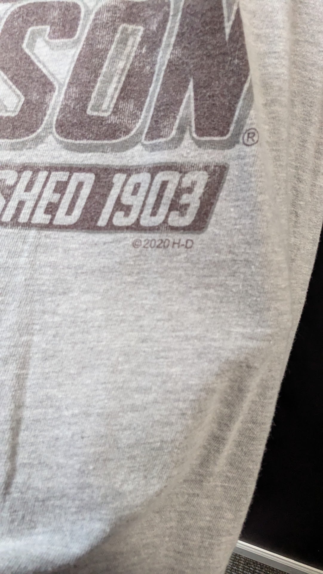 Harley Davidson Toad Suck Conway Arkansas T-Shirt XL Gray Double Sided Motorcycle