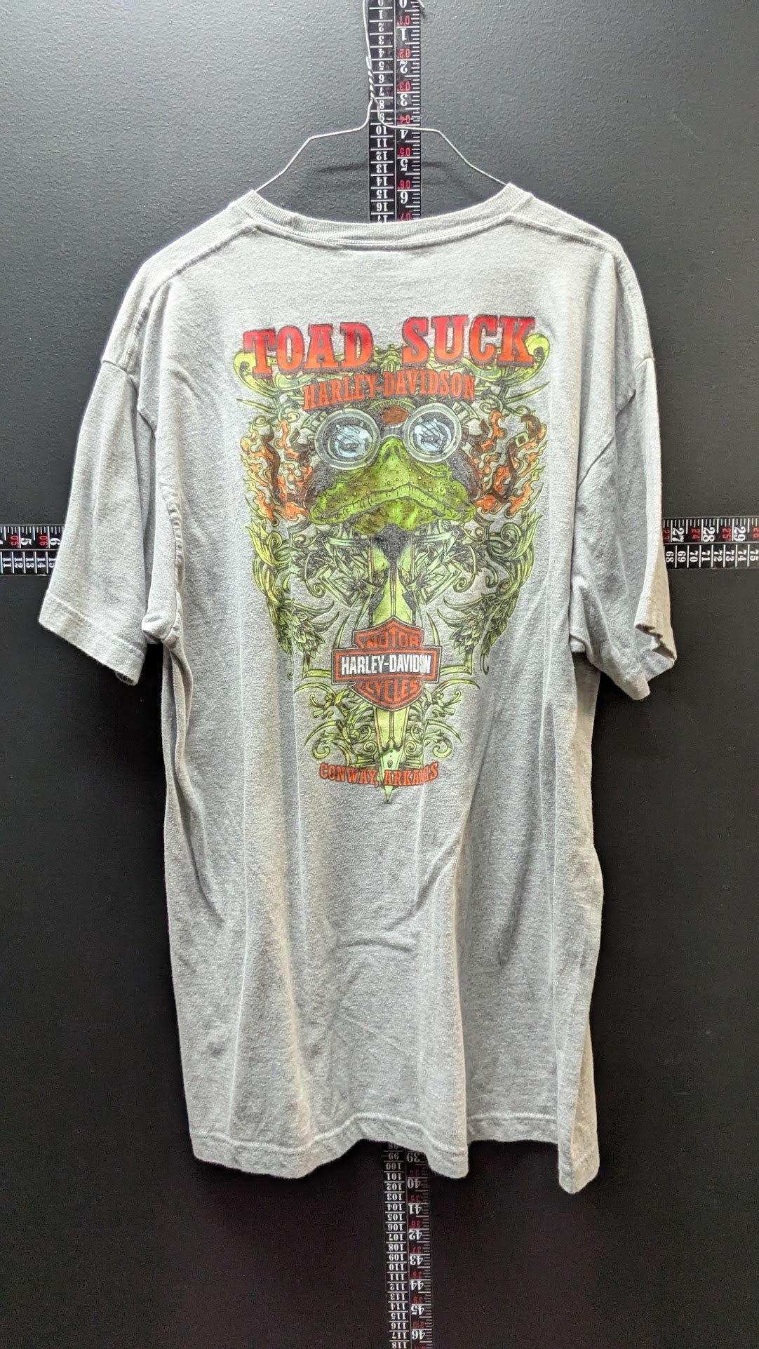 Harley Davidson Toad Suck Conway Arkansas T-Shirt XL Gray Double Sided Motorcycle