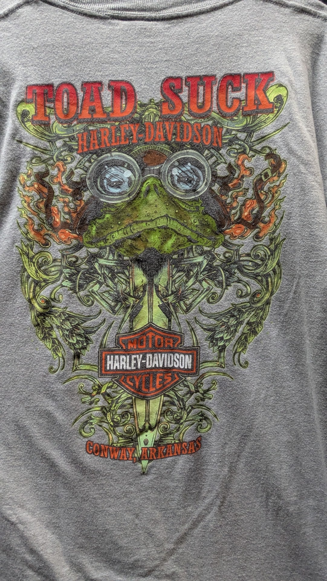 Harley Davidson Toad Suck Conway Arkansas T-Shirt XL Gray Double Sided Motorcycle