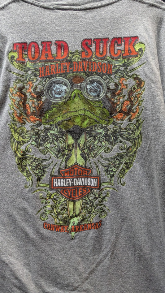 Harley Davidson Toad Suck Conway Arkansas T-Shirt XL Gray Double Sided Motorcycle