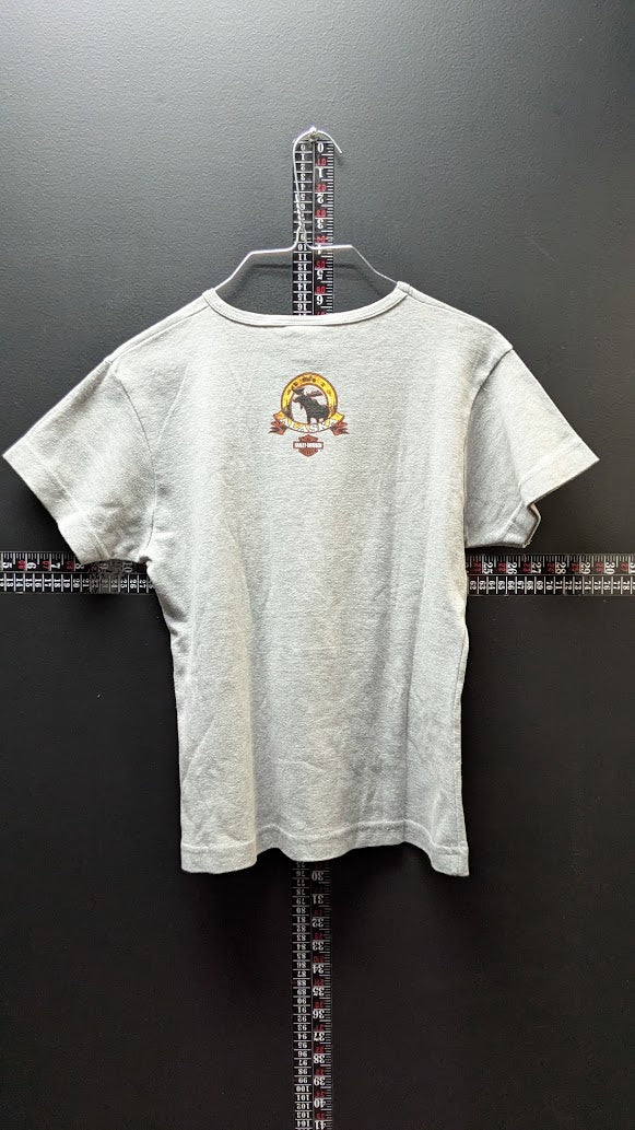 2008 Harley-Davidson Mt McKinley Denali Park Alaska Moose Bear T-Shirt womens Large