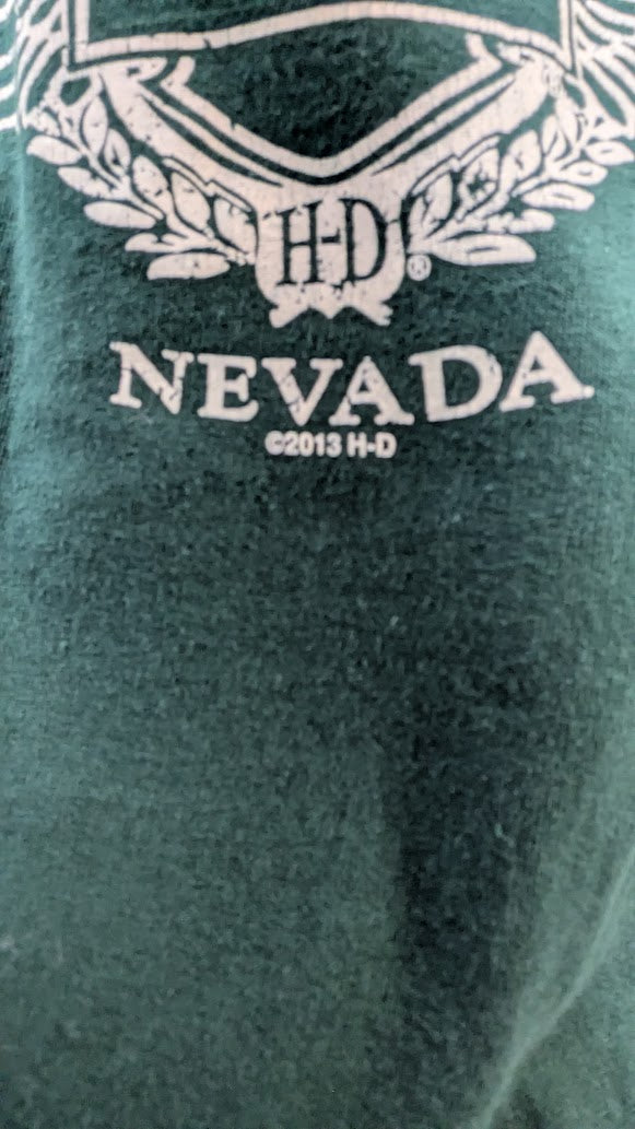 Harley Davidson Las Vegas Nevada Youth 10-12 M Green Motorcycle T-Shirt