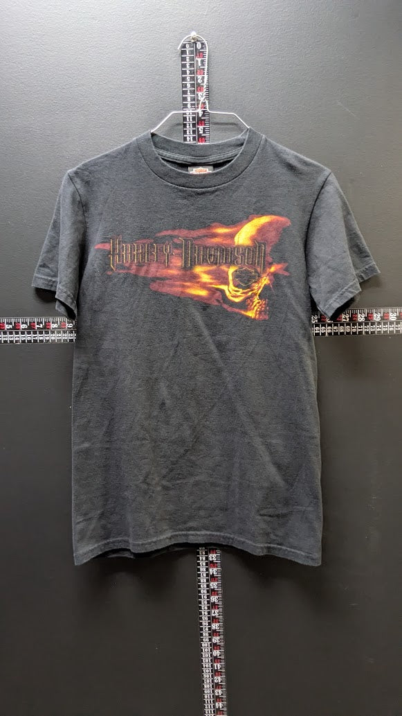 Harley-Davidson Greenville SC Flaming Skull T-Shirt Black Mens Small