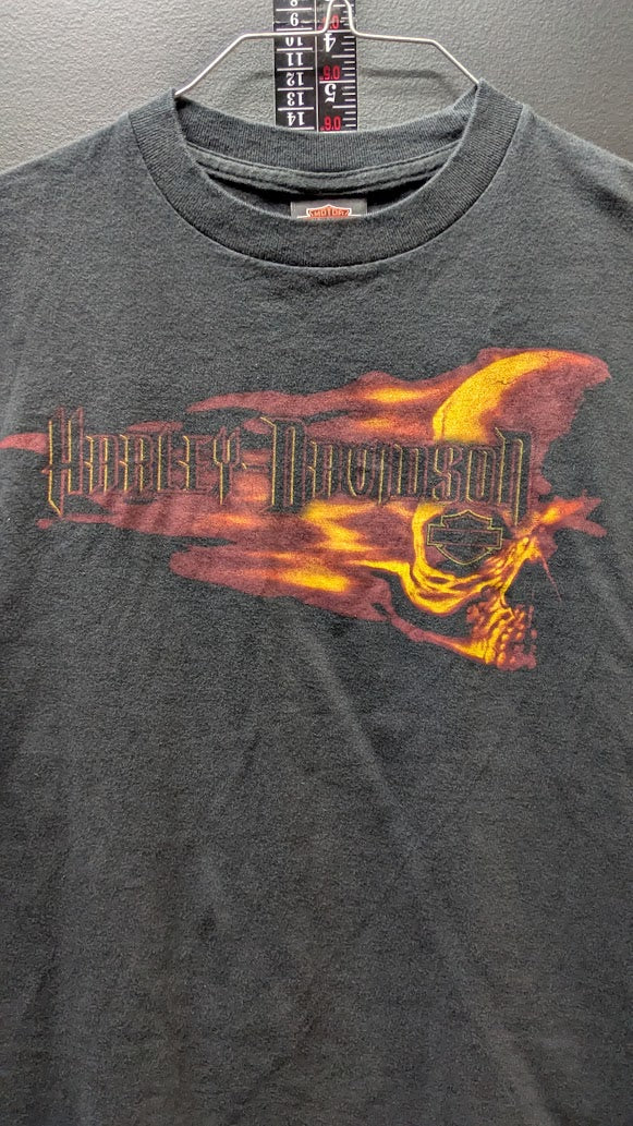 Harley-Davidson Greenville SC Flaming Skull T-Shirt Black Mens Small