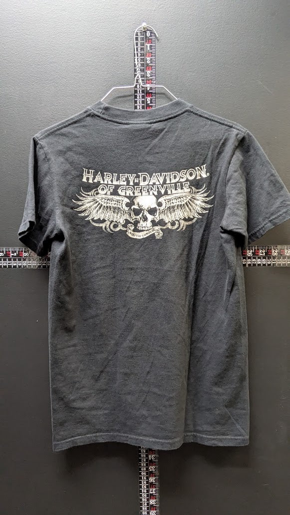 Harley-Davidson Greenville SC Flaming Skull T-Shirt Black Mens Small