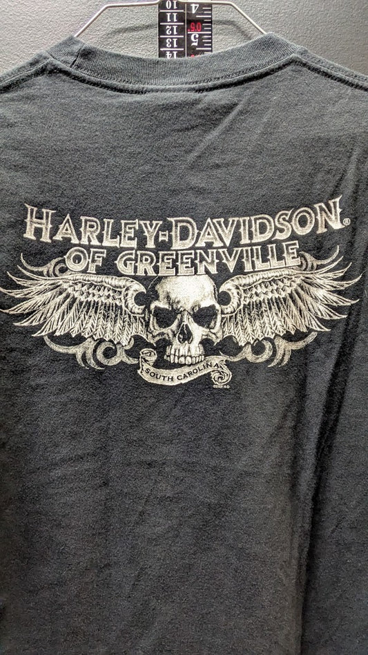 Harley-Davidson Greenville SC Flaming Skull T-Shirt Black Mens Small