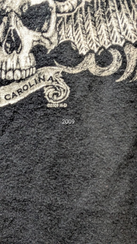 Harley-Davidson Greenville SC Flaming Skull T-Shirt Black Mens Small