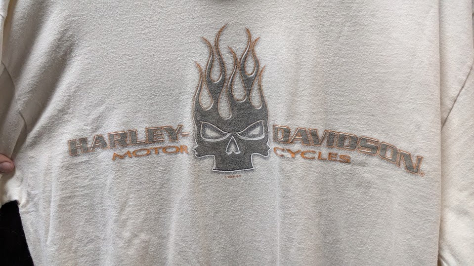 2009 Harley-Davidson Riders Birmingham Alabama Long Sleeve T-Shirt Flame Skull Large L