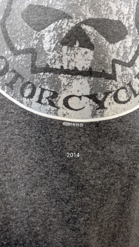 Harley-Davidson Motorcycles Gray Skull Logo T-Shirt Short Sleeve Men's Large