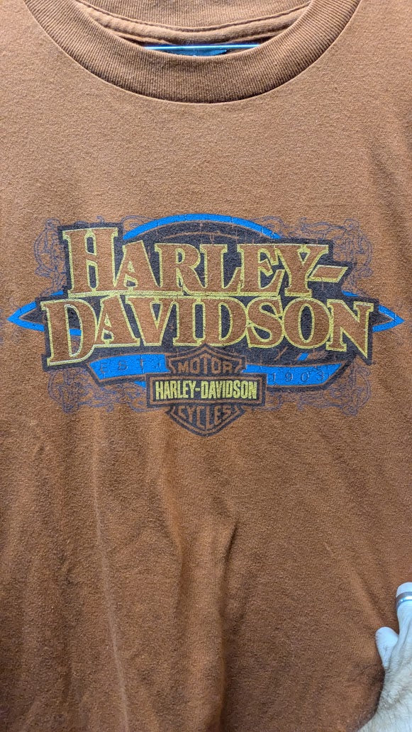 Harley-Davidson Mens Large Orange Brown Short Sleeve T-Shirt Graphic Motorcycle Tee