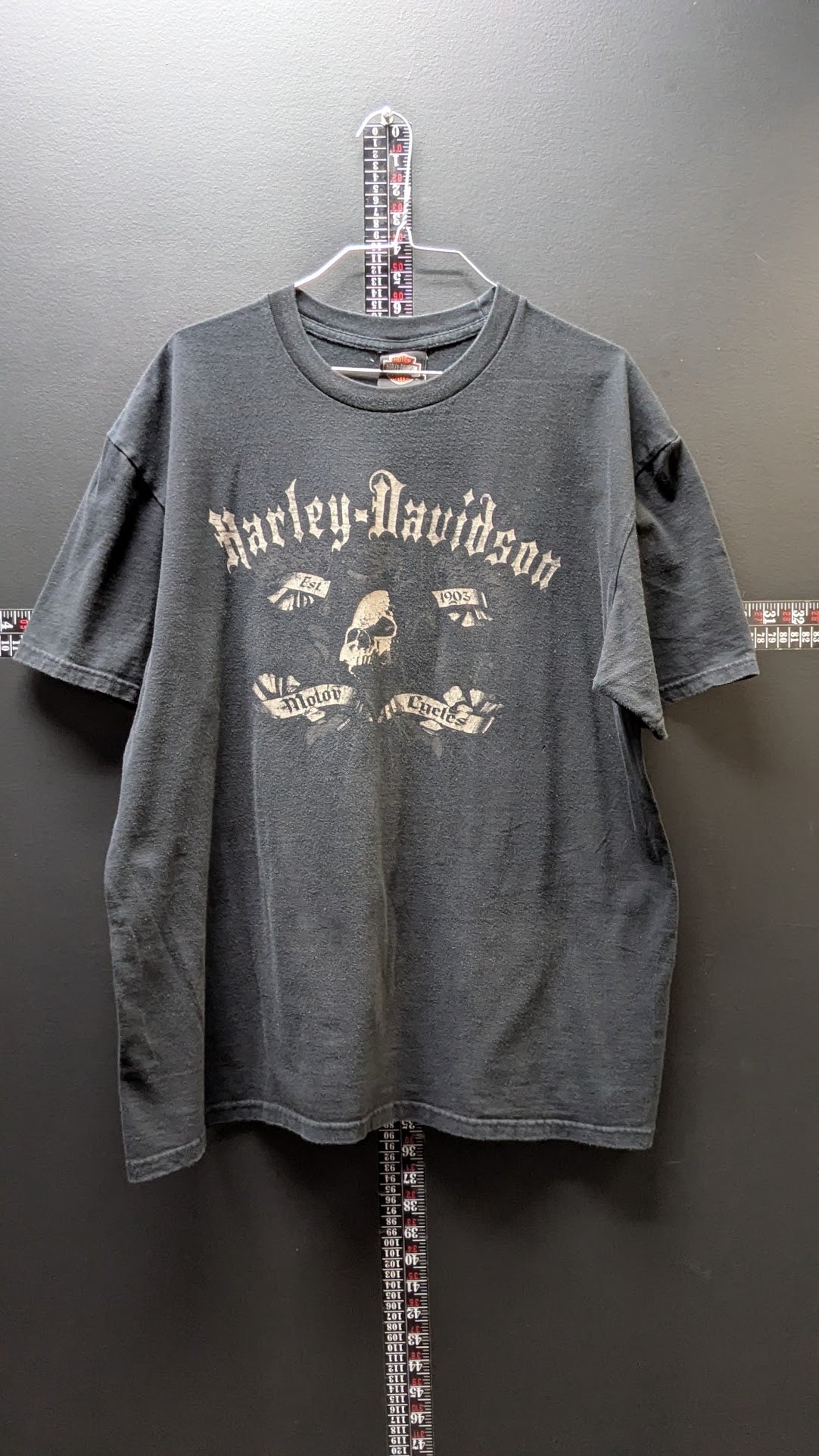 Harley-Davidson Skull Motor Cycle T-Shirt Men’s XL Brandon FL Faded Black