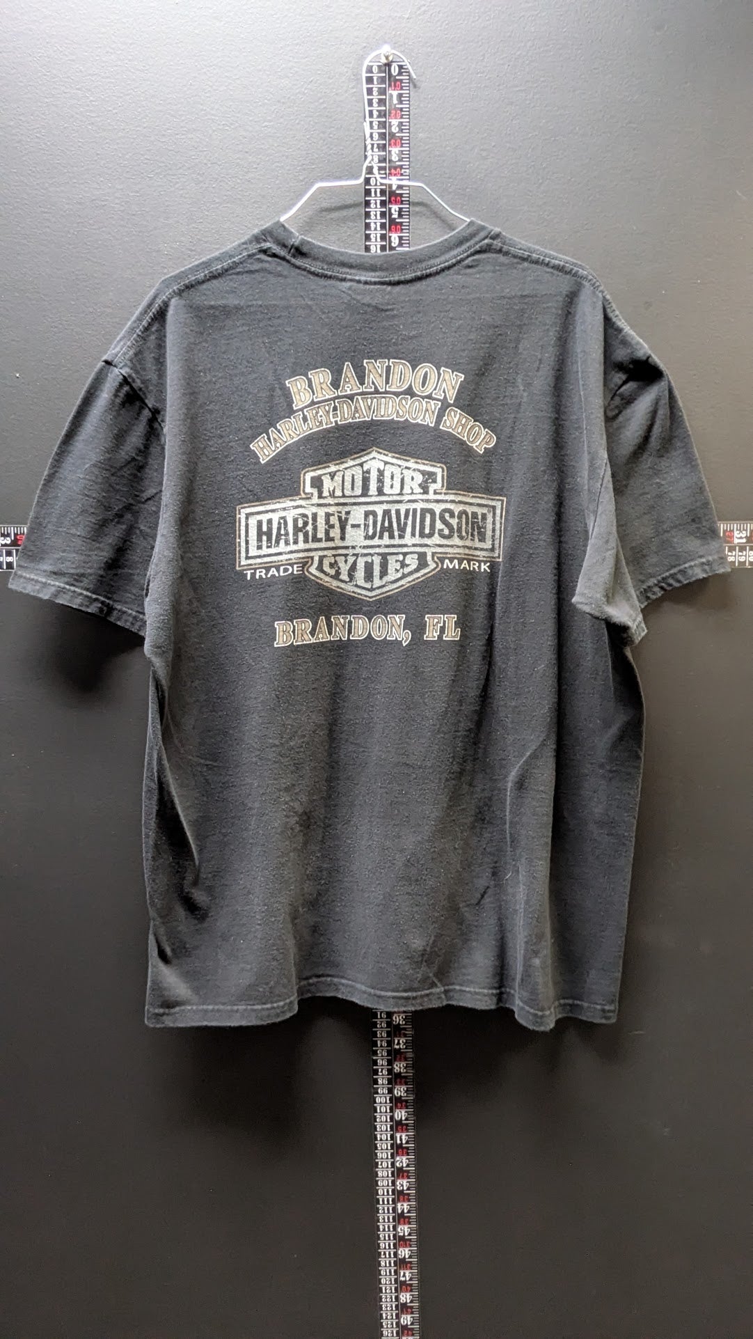 Harley-Davidson Skull Motor Cycle T-Shirt Men’s XL Brandon FL Faded Black