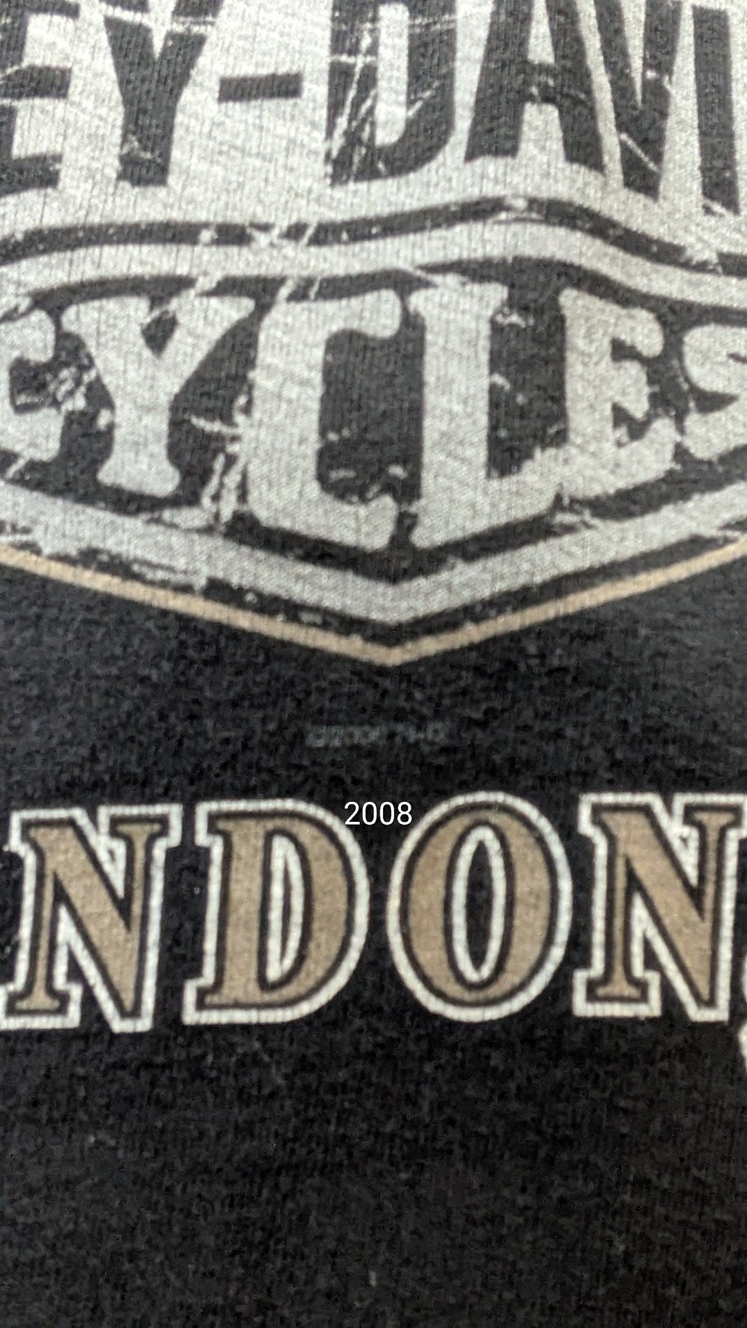 Harley-Davidson Skull Motor Cycle T-Shirt Men’s XL Brandon FL Faded Black