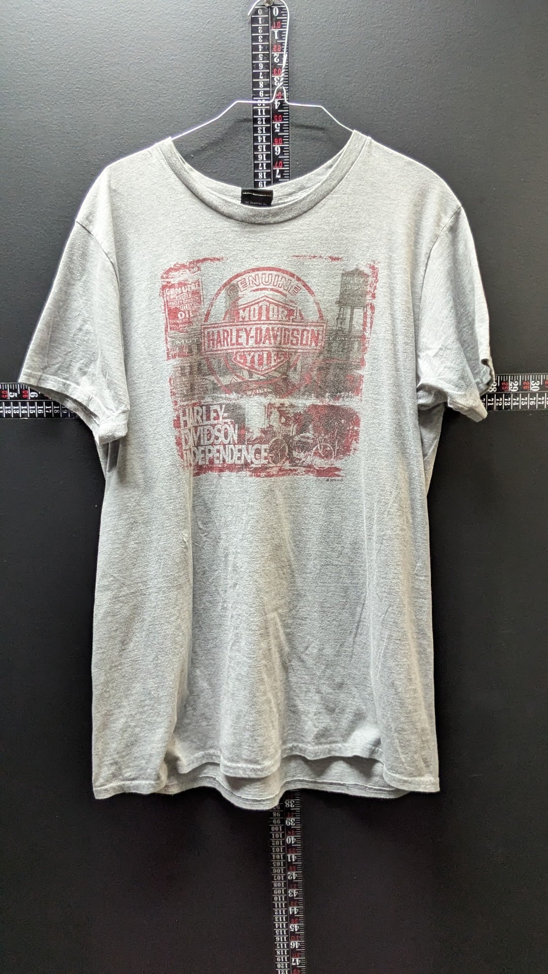 Harley-Davidson Woodstock T-Shirt Men’s Gray New York Independence Double Sided