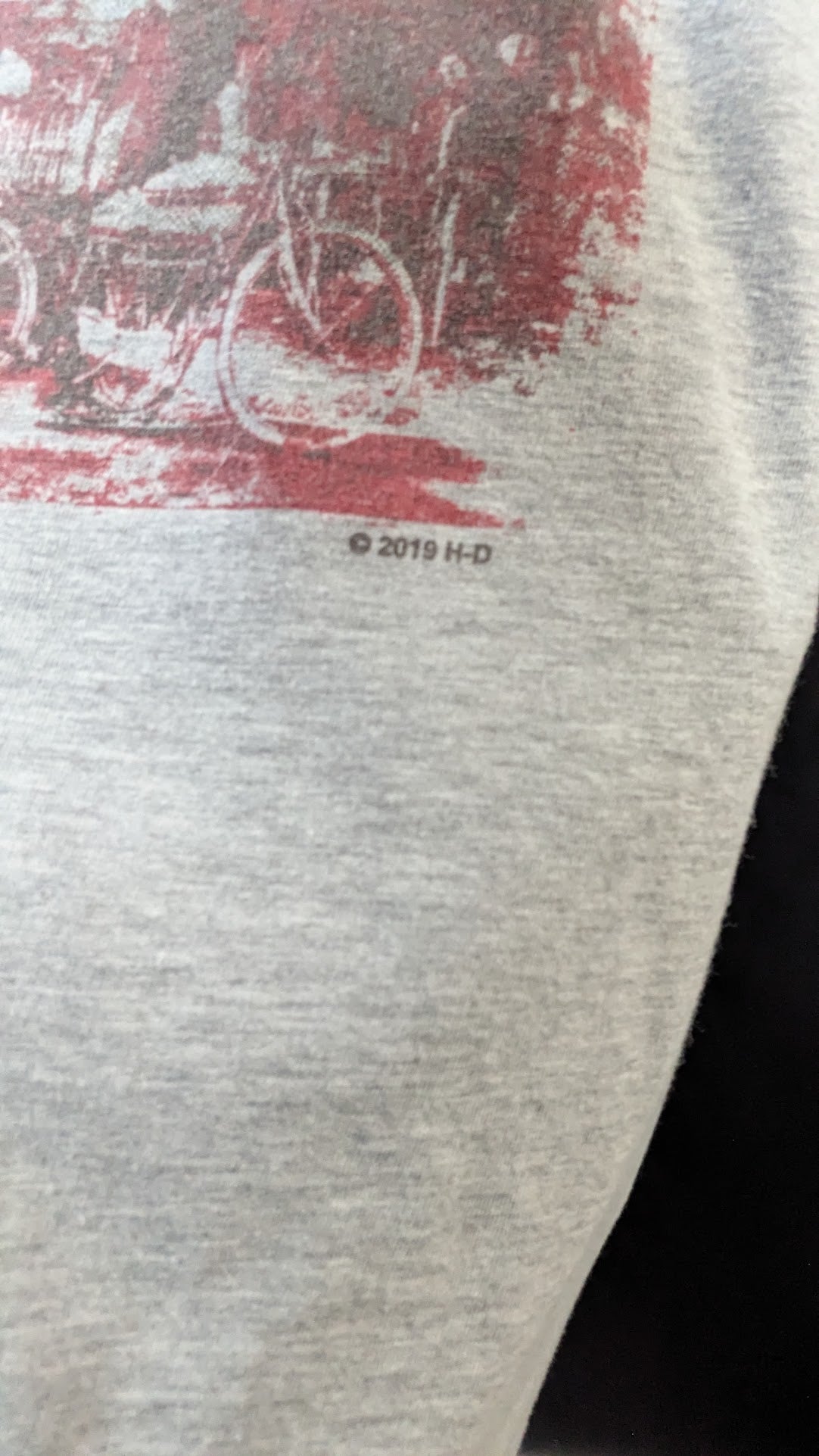 Harley-Davidson Woodstock T-Shirt Men’s Gray New York Independence Double Sided