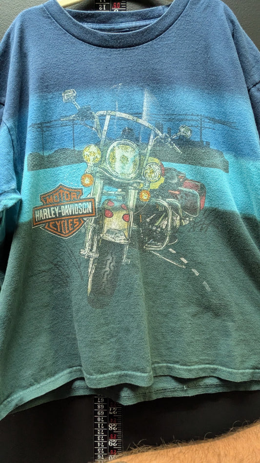 Harley Davidson Denver Colorado T Shirt kids Vintage Look Blue Faded Motorcycle