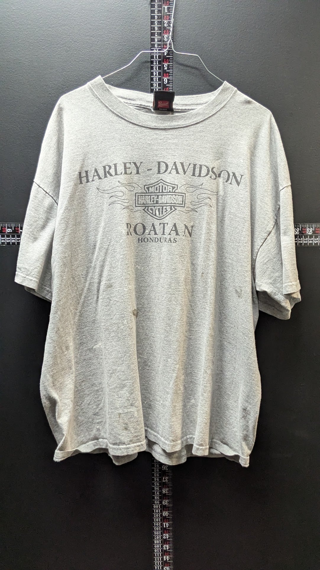 Harley-Davidson Roatan Honduras T-Shirt Men’s XL Gray Blue Flames Biker Tee