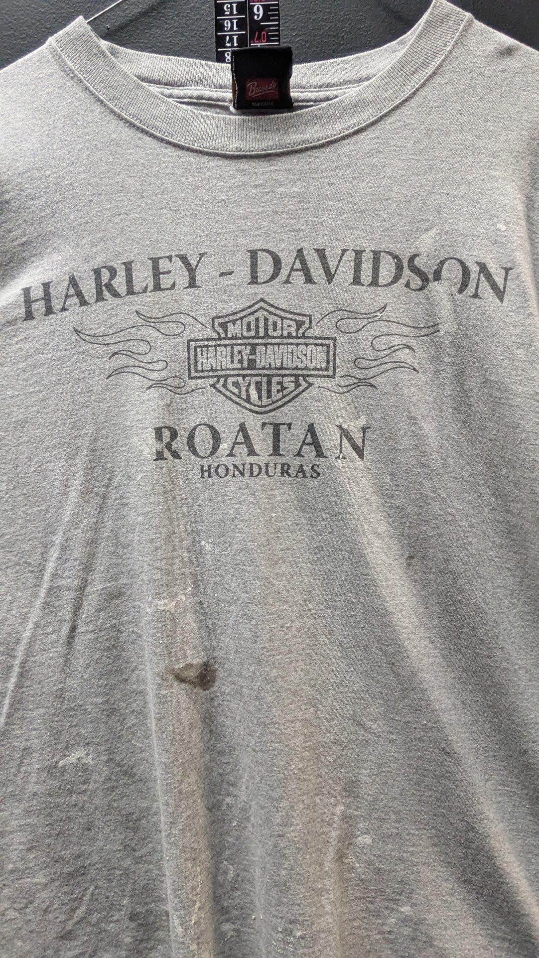 Harley-Davidson Roatan Honduras T-Shirt Men’s XL Gray Blue Flames Biker Tee