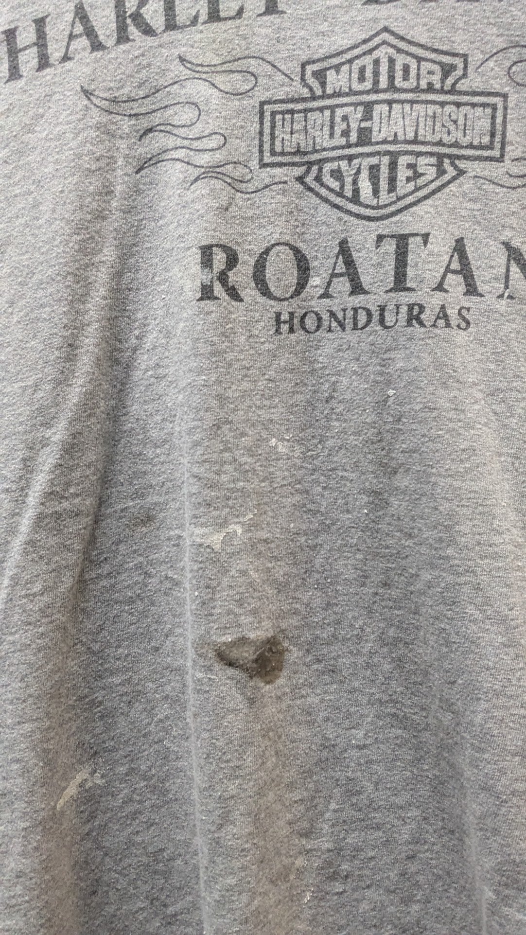 Harley-Davidson Roatan Honduras T-Shirt Men’s XL Gray Blue Flames Biker Tee