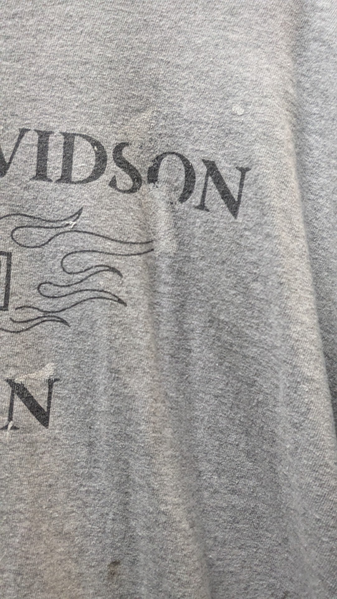 Harley-Davidson Roatan Honduras T-Shirt Men’s XL Gray Blue Flames Biker Tee