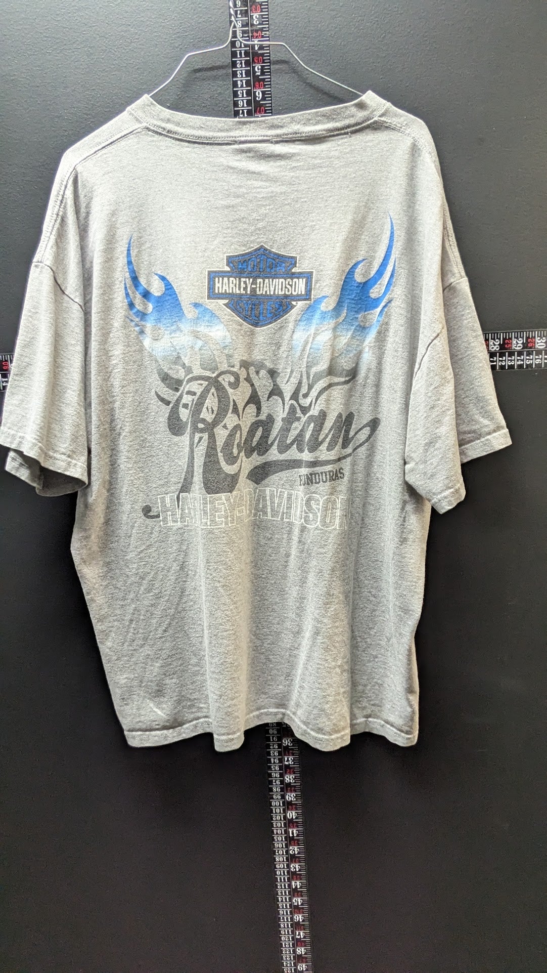 Harley-Davidson Roatan Honduras T-Shirt Men’s XL Gray Blue Flames Biker Tee