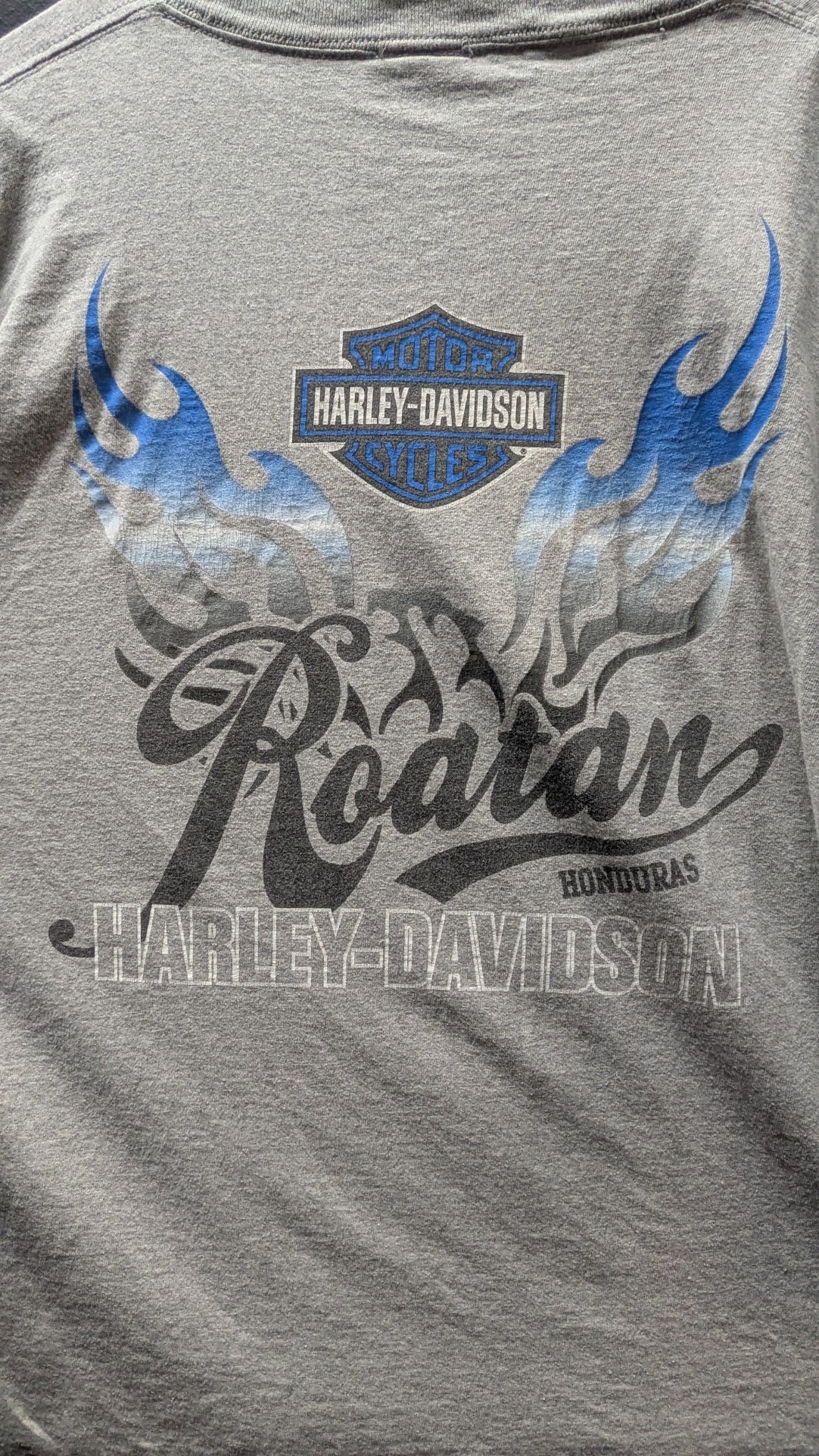 Harley-Davidson Roatan Honduras T-Shirt Men’s XL Gray Blue Flames Biker Tee
