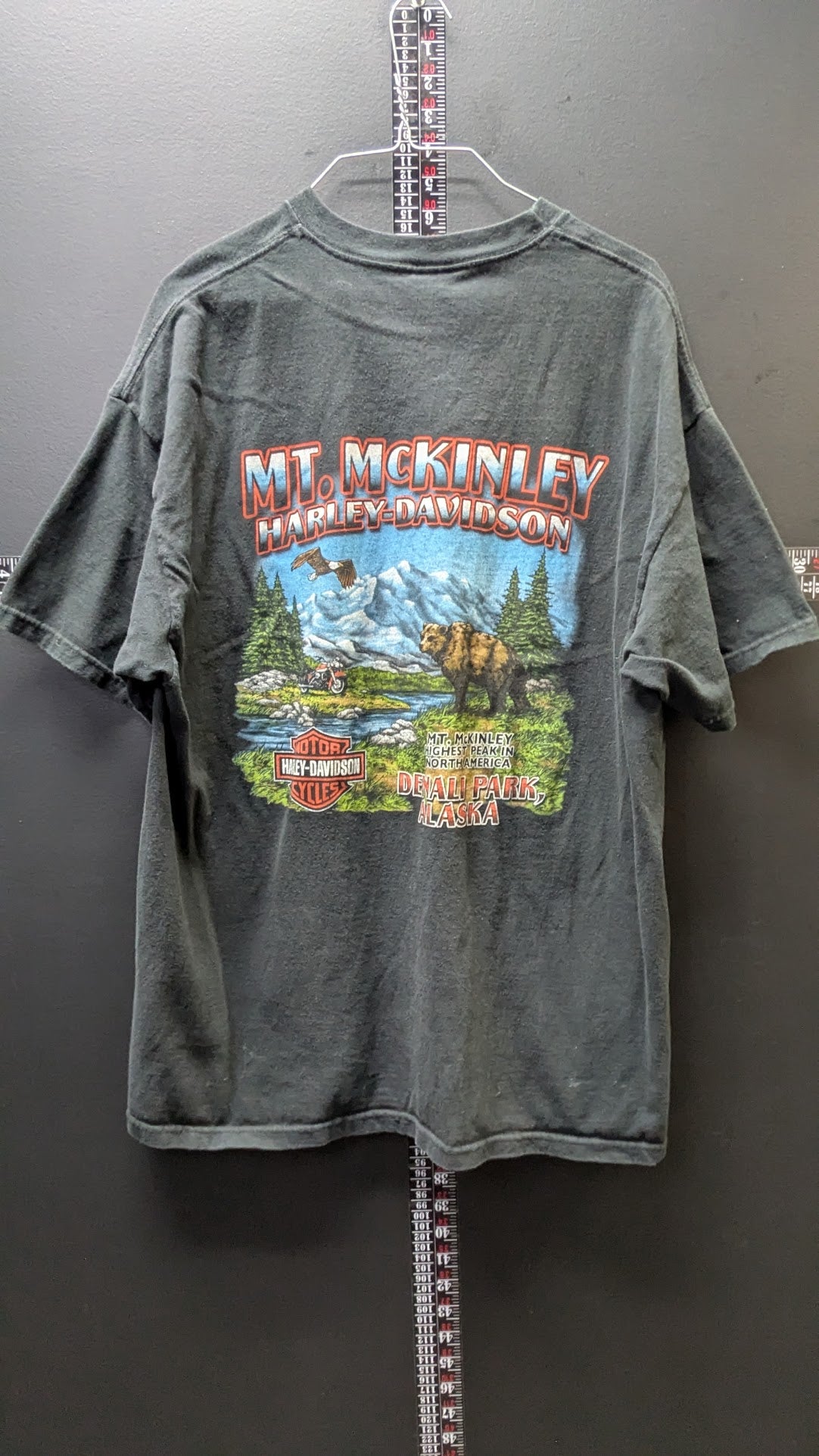 Got Any Lately? Vintage 2003 Harley-Davidson Mt. McKinley Denali Alaska T-Shirt Black
