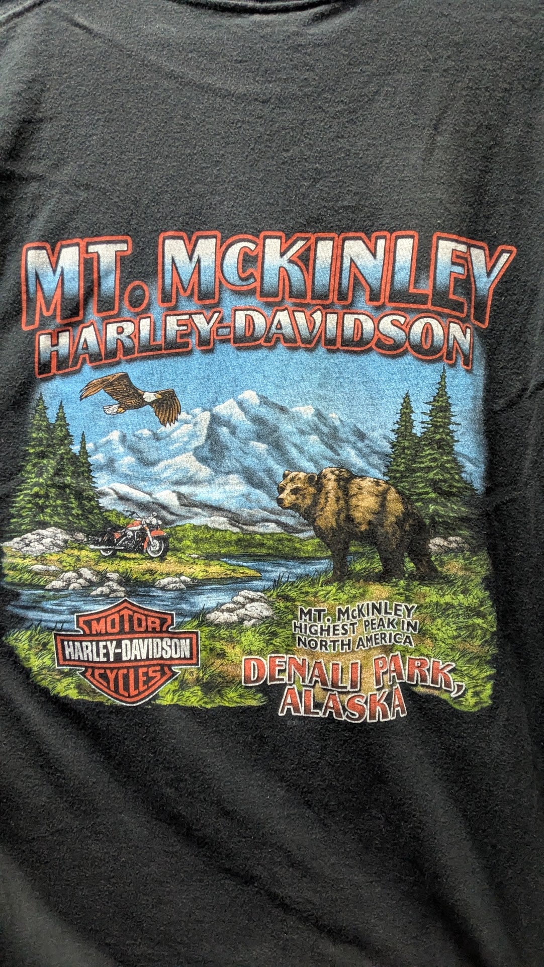 Got Any Lately? Vintage 2003 Harley-Davidson Mt. McKinley Denali Alaska T-Shirt Black