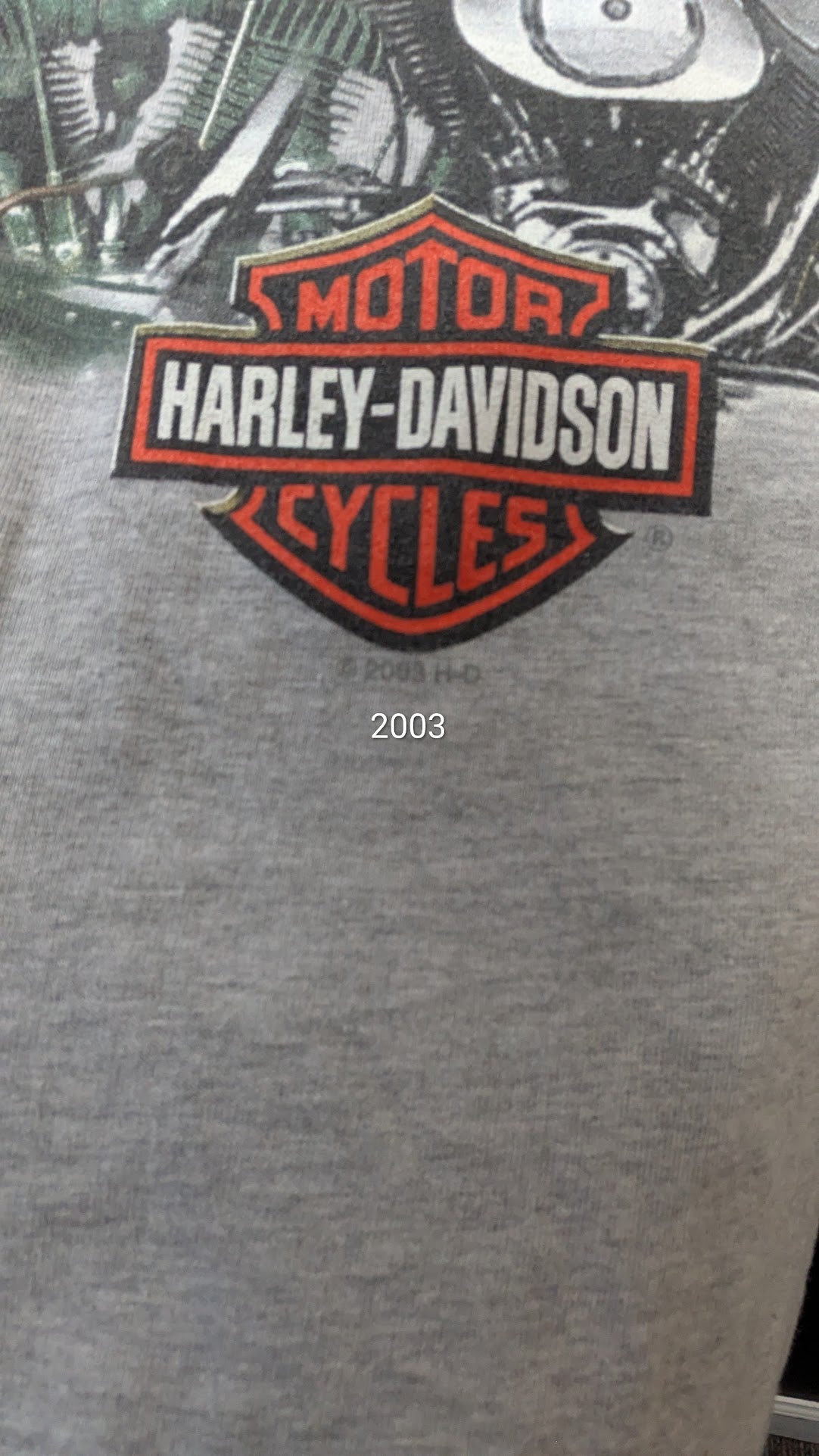 Vintage 2003 Harley-Davidson 100th Anniversary T-Shirt XL Racine Wisconsin USA