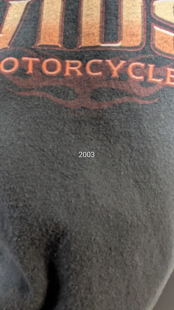 Vintage 2002 Harley Davidson Workman Rock Falls IL T Shirt XL Made USA
