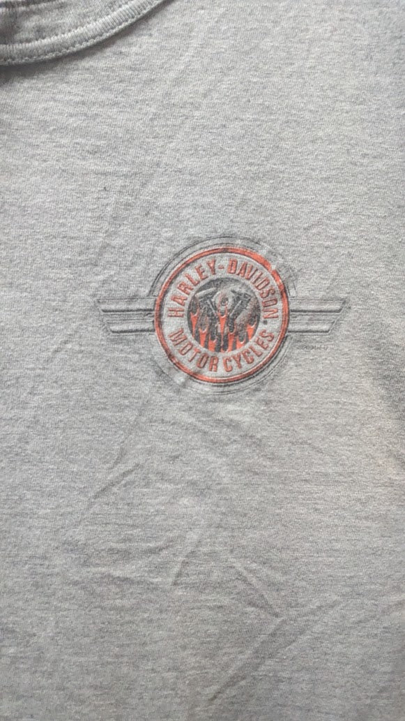 2004 Harley-Davidson Thunder Mountain Loveland Colorado T-Shirt – Men’s 2X