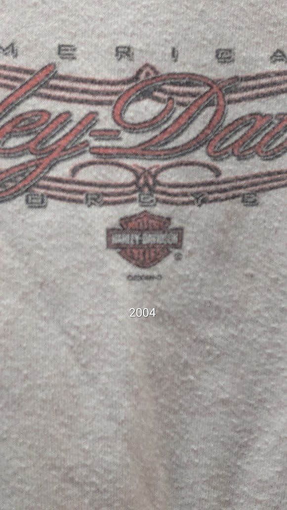 2004 Harley-Davidson Motorcycles Colorblock Long Sleeve Shirt – XL