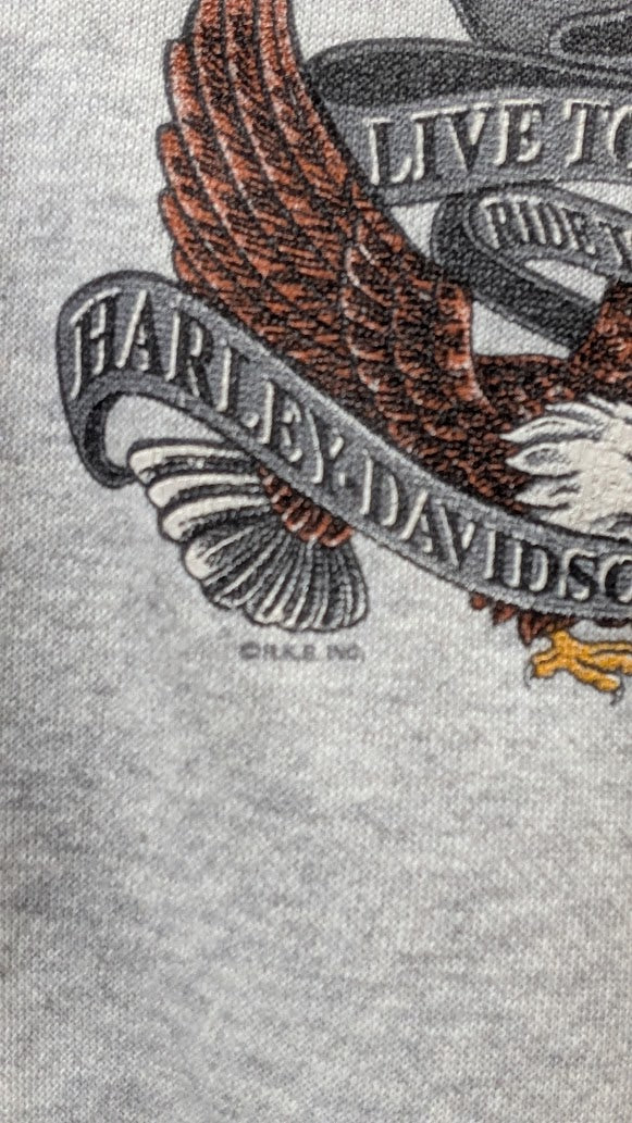 Vintage Harley-Davidson Full Zip Hoodie Men’s L Saint’s Butte Montana Eagle Gray