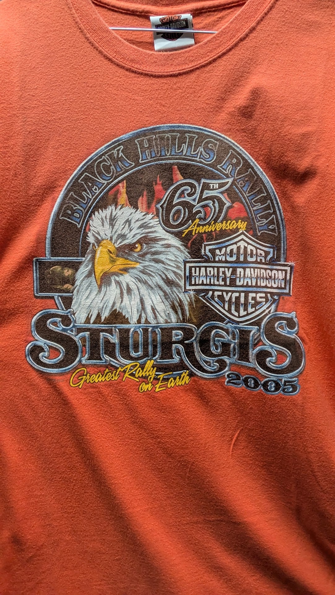 2005 Harley-Davidson Sturgis 65th Anniversary T-Shirt Men’s L Black Hills SD