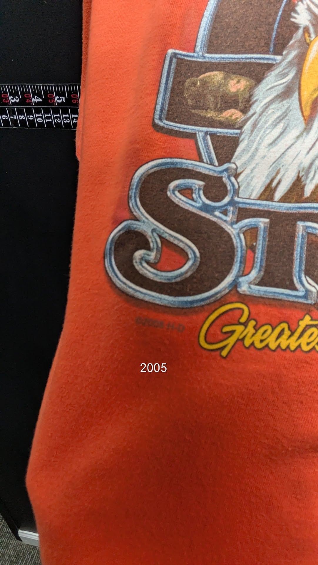 2005 Harley-Davidson Sturgis 65th Anniversary T-Shirt Men’s L Black Hills SD