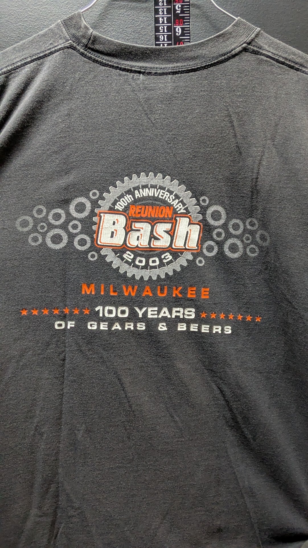 2003 Brady Street Milwaukee 100th Anniversary Reunion Bash Long Sleeve Shirt XL