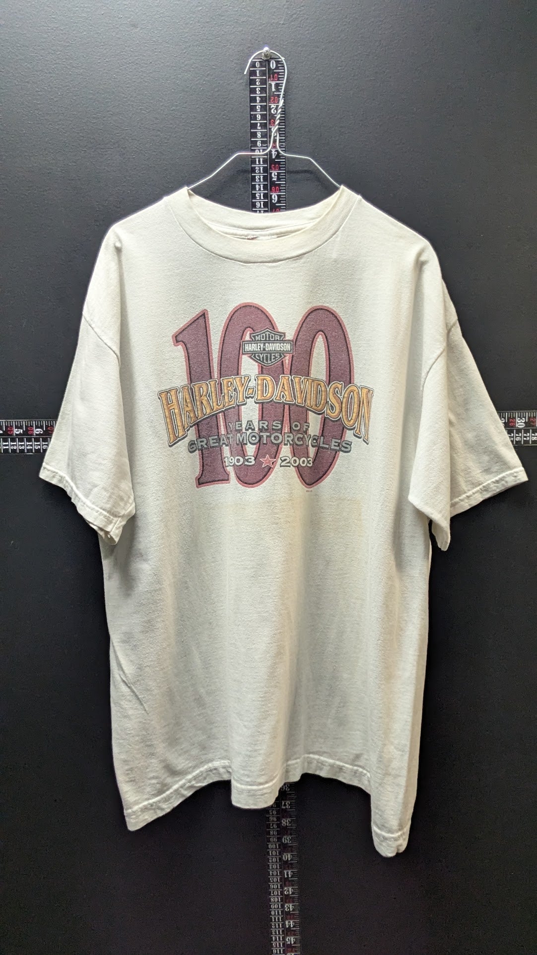 Vintage 2003 Harley-Davidson 100th Anniversary T-Shirt Milwaukee WI Men’s