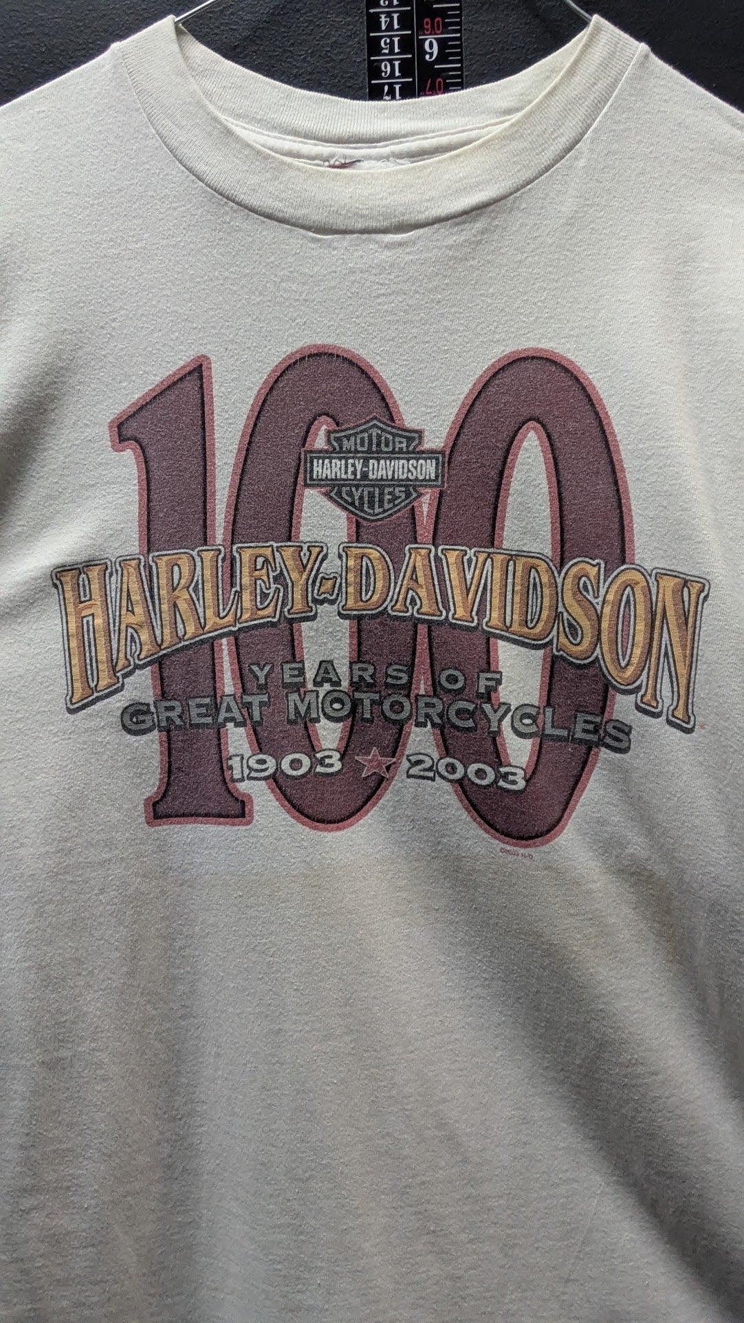 Vintage 2003 Harley-Davidson 100th Anniversary T-Shirt Milwaukee WI Men’s