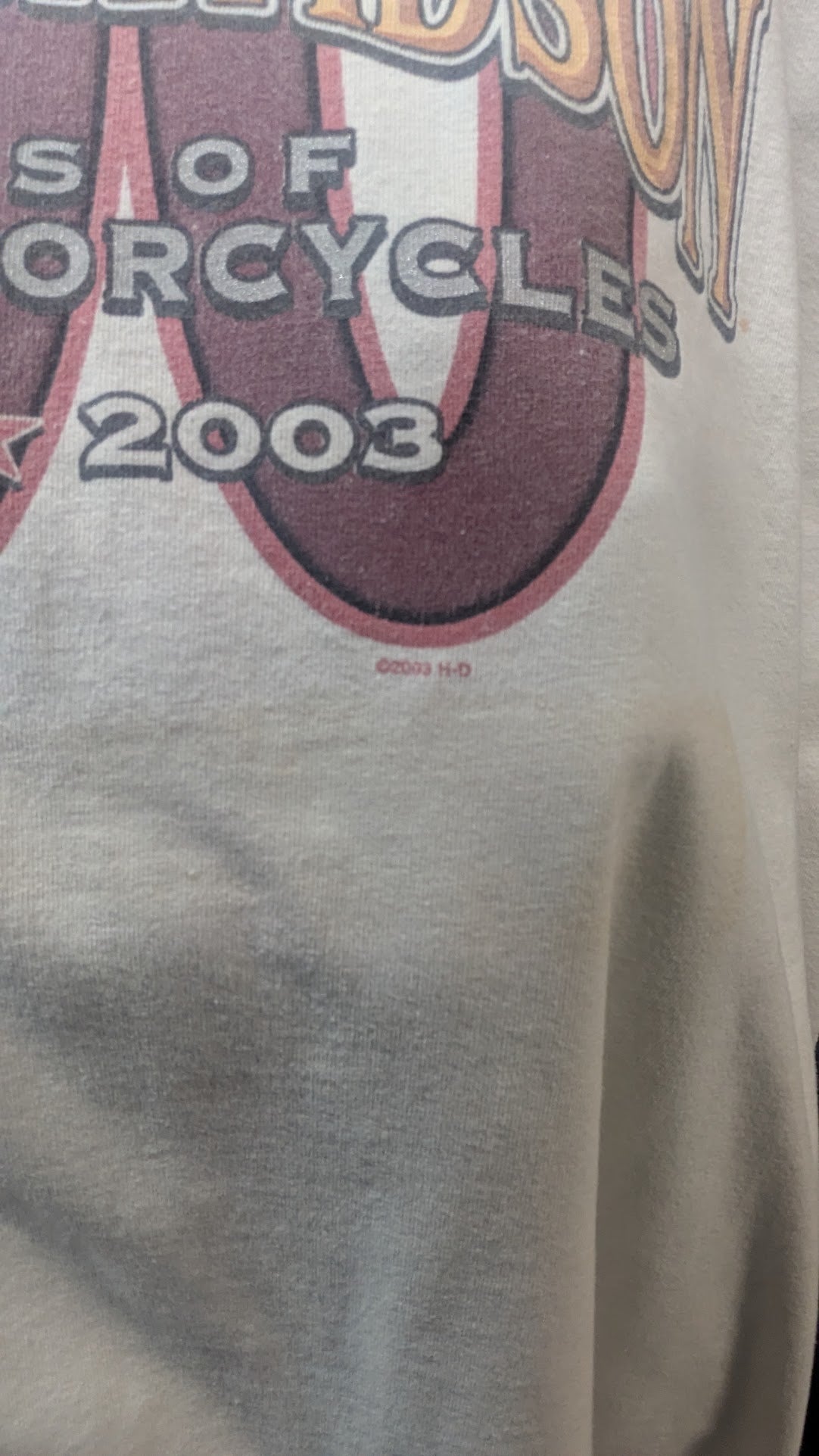 Vintage 2003 Harley-Davidson 100th Anniversary T-Shirt Milwaukee WI Men’s