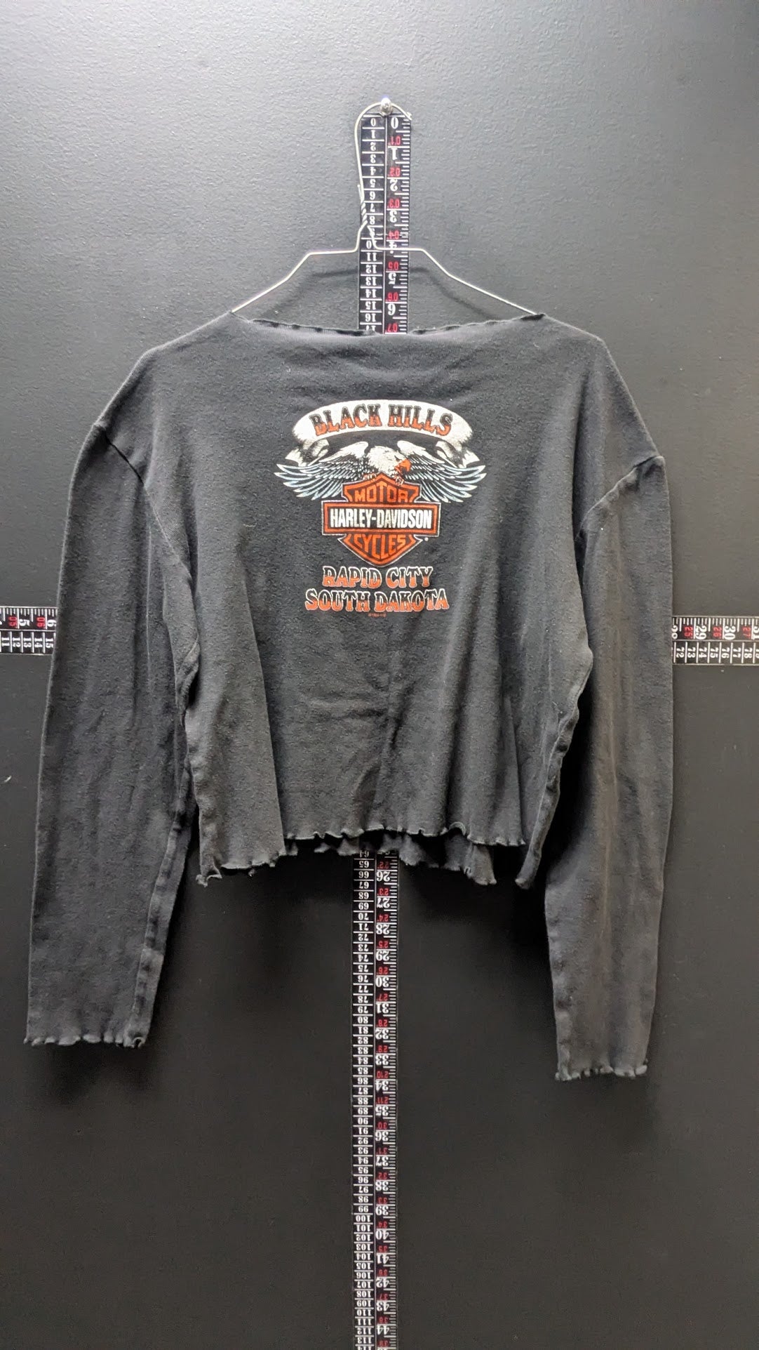 Vintage 1995 Harley-Davidson Sturgis Black Hills Rally Shirt XL Cropped
