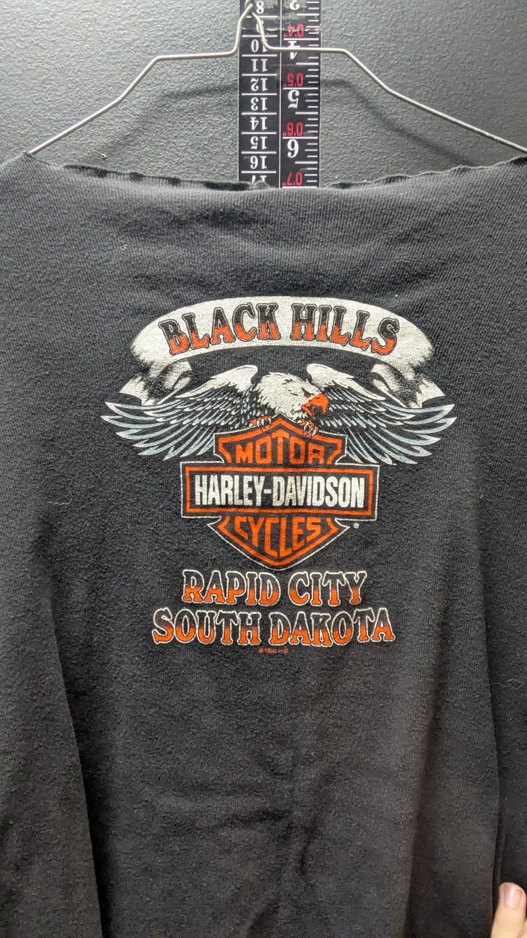 Vintage 1995 Harley-Davidson Sturgis Black Hills Rally Shirt XL Cropped