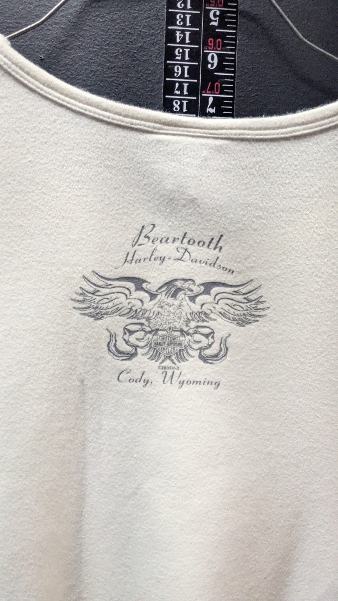 Vintage Harley-Davidson Beartooth Cody Wyoming T-Shirt XL Made in USA