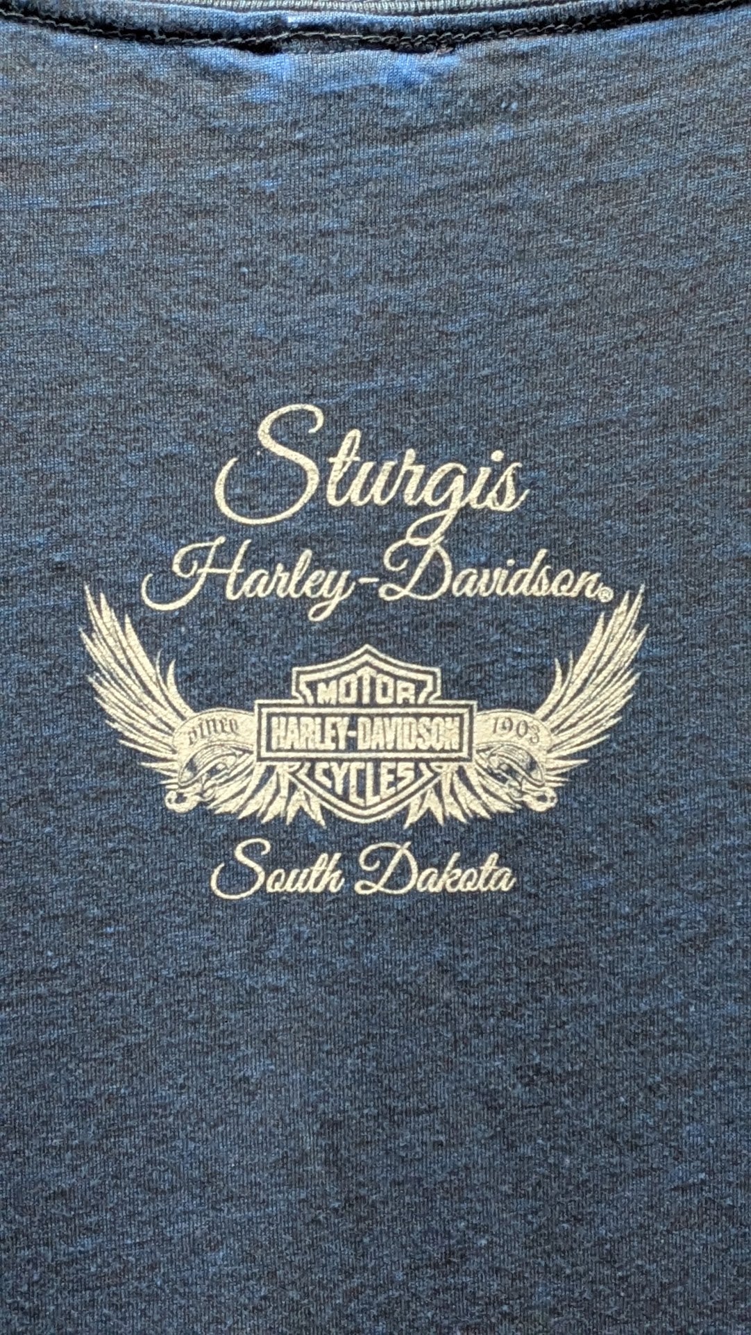 Harley-Davidson Women's XL Blue Wing Graphic V-Neck T-Shirt – Sturgis South Dakota