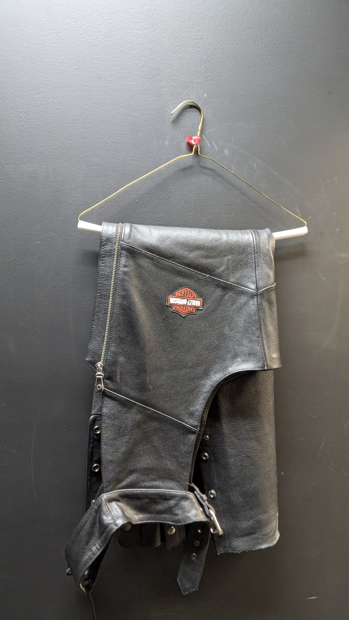 Woman's Harley Davidson Leather Chaps